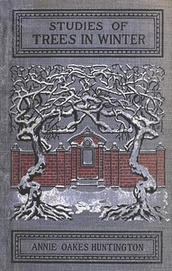 Studies of trees in winter