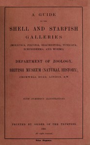 A guide to the shell and starfish galleries
