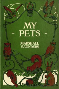 My pets