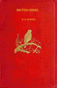 British birds