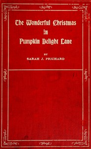 The wonderful Christmas in Pumpkin Delight Lane