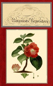 The botanist's repository for new and rare plants; vol. 09 [of 10]