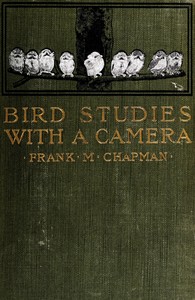 Bird studies with a camera
