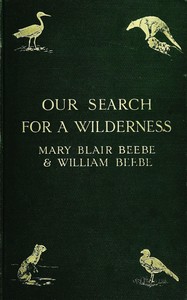 Our search for a wilderness