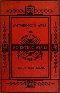 Anthropoid apes