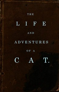 The life and adventures of a cat