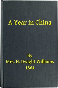 A year in China