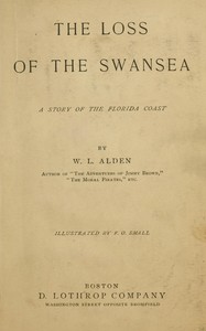 The loss of the Swansea