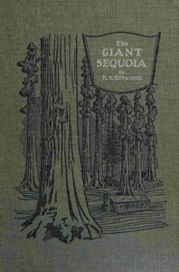 The giant sequoia