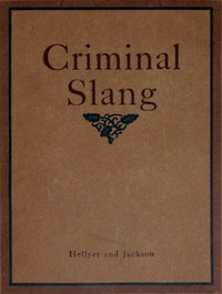 A vocabulary of criminal slang