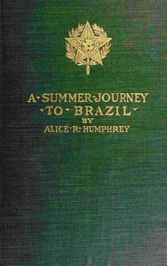 A summer journey to Brazil