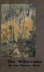 The wilderness