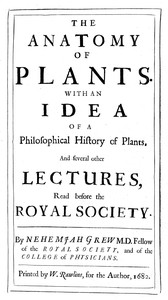 The anatomy of plants
