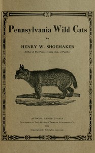 Pennsylvania wild cats
