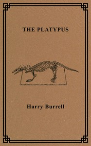 The platypus