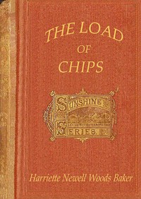 The load of chips