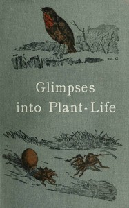 Glimpses into plant-life