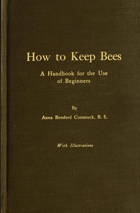 How to keep bees