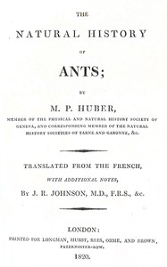The natural history of ants