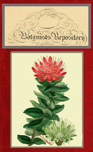 The botanist's repository for new and rare plants; vol. 10 [of 10]