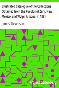 Illustrated Catalogue of the Collections Obtained from the Pueblos of Zuñi, New Mexico, and Wolpi, Arizona, in 1881  Third Annual Report of the Bureau of Ethnology to the Secretary of the Smithsonian Institution, 1881-82, Government Printing Office, Washi