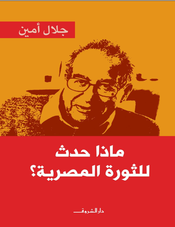 ماذا حدث للثورة المصرية؟