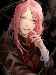 Naruto: Sakura Blizzard