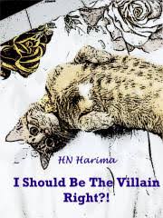 I Should Be The Villain, Right?