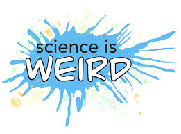 Popular Science is Weird: Do You Call This a Learning Anchor? !