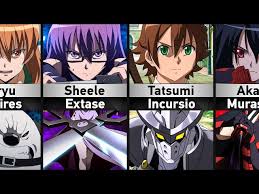 The Teigu User