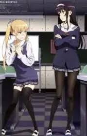 Is There a Problem with Opening a Harem In a Passer-by Heroine?