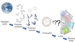 Abiogenisis