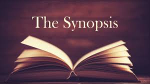 Check Synopsis