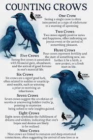 The Numbers That Brought Our Fates Together