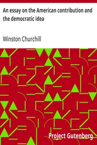 An essay on the American contribution and the democratic idea