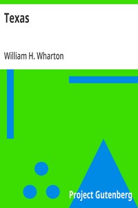 Texas  A Brief Account of the Origin, Progress and Present State of the Colonial Settlements of Texas; Together with an Exposition of the Causes which have induced the Existing War with Mexico