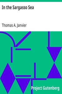 In the Sargasso Sea A Novel