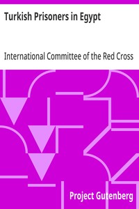 Turkish Prisoners in Egypt  A Report by the Delegates of the International Committee of the Red Cross