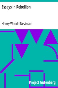 Essays in Rebellion